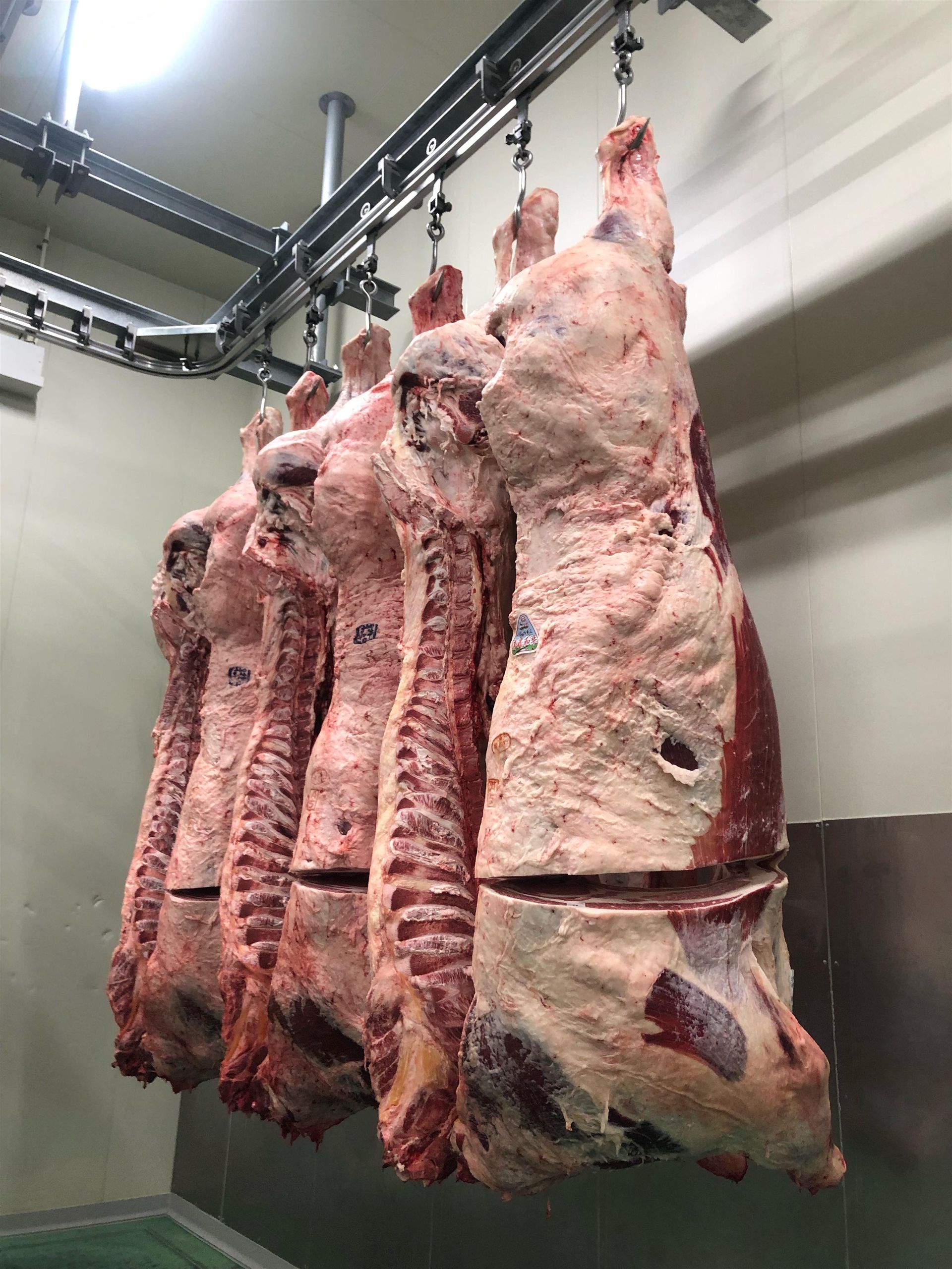 Full Set — Wagyu